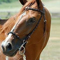 Cradle Bridle Set: Headstall, Parelli/Myler C3 MB33 High Port Bit, Rope Reins *xc, clean, mnr scratches/rust & rubs
