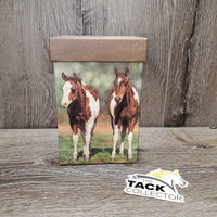 2 Paint Foals - Cardboard Box, Lid *vgc, rubs, dirty, NO MUG

