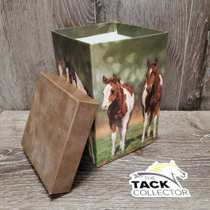2 Paint Foals - Cardboard Box, Lid *vgc, rubs, dirty, NO MUG