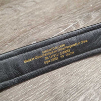 Padded Leather Belt, Eggbutt Bits, Buckle *xc/vgc, mnr scrapes & edge rubs
