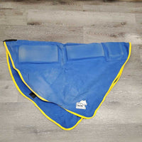 Centurion Therapulse Therapy System: Blanket, Neck, 2 batteries, 1 charger, 2 controllers, 2 Cases, manual *WORKS, CHARGES, vgc, clean, cases: dirt, marker