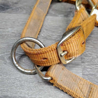 Thick Nylon Halter, snap, adj *gc, v.dirty, faded, stains, edge rubs & frays, thread