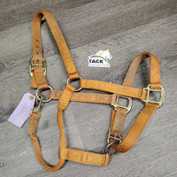 Thick Nylon Halter, snap, adj *gc, v.dirty, faded, stains, edge rubs & frays, thread