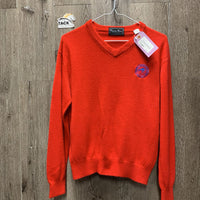 LS V Neck Super Soft Cashmerlon Sweater *vgc, clumpy, rubs, pills