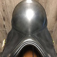 17" *MW 5.5" Sankey Jacinda Dressage Saddle, Black Sankey Nylon/Fleece Saddle Cover, Xlg Front Exterior Blocks, Front & Rear Gusset Panels, Wool Flocking, Flaps: 15.5"L x 12"W Serial # 100516 17T