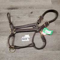 Training Leather Halter, Nylon Rope Noseband *gc/fair, frayed/weak ends, mnr dirt, film & rubs