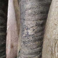 Pr Field Boots, zip *gc, v.dirty, flaking?peeling, rubs, puckered & stretched elastic