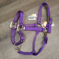 Thick Nylon Halter, snap, adj *gc, dirty, stains, scratches *Shedrow Buckle, Supra Tag
