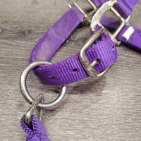 Thick Nylon Halter, snap, adj *gc, dirty, stains, scratches *Shedrow Buckle, Supra Tag