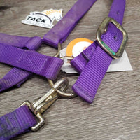 Thick Nylon Halter, snap, adj *gc, dirty, stains, scratches *Shedrow Buckle, Supra Tag