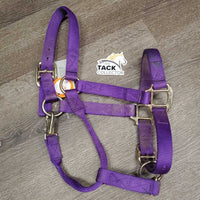 Thick Nylon Halter, snap, adj *gc, dirty, stains, scratches *Shedrow Buckle, Supra Tag