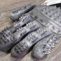 1 Only Grooming Glove *gc, dirty, stains, film, faded