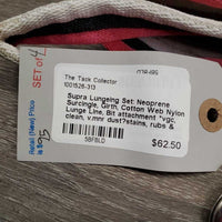 Lungeing Set: Neoprene Surcingle, Girth, Cotton Web Nylon Lunge Line, Bit attachment *vgc, clean, v.mnr dust?stains, rubs & fading