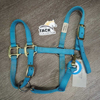 Soft Narrow Nylon Halter, adj, snap *gc, dirty, faded, rubs, frays, stains