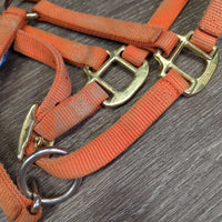Soft Narrow Nylon Halter, adj, snap *gc, dirty, faded, rubs, frays, stains