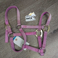 Soft Narrow Nylon Halter, adj, snap *gc/fair, dirty, v.faded, rubs, frays, stains