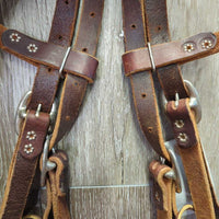 Rick Wheat Noavel Noseband & Leather Headstall, info DVD *xc/like new, mnr stains & scuffs
