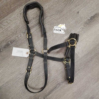 Biothane Lungeing Cavesson, Neoprene Padded Nose & Crown *vgc/gc, dirt, trimmed straps