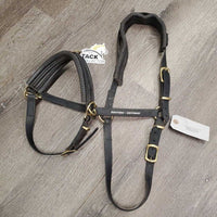 Biothane Lungeing Cavesson, Neoprene Padded Nose & Crown *vgc/gc, dirt, trimmed straps