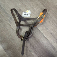 Leather Foal Halter, lead - catch strap *gc, dirt, chews, tiwst, edge scrapes, ONLY 1 Crown dry, creases