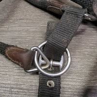 Nylon Rope/Web & Leather Trim Halter, adj, snap *gc, dusty, rubs, scrapes, faded, snags, hair, dirty
