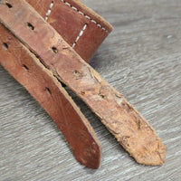 Leather Cribbing Collar *gc/fair, clean, scrapes, chewed, scratches, mnr dirt?residue