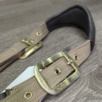 Nylon & Padded Leather Halter, snap, adj *vgc, dirt?stains, residue, mnr scrapes & edge rubs, scratches