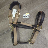 Nylon & Padded Leather Halter, snap, adj *vgc, dirt?stains, residue, mnr scrapes & edge rubs, scratches