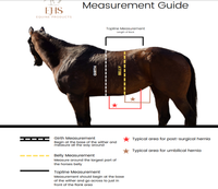 Adult Equine Hernia and Post-Surgical Pressure Belt, Hvy Canvas *vgc/gc, hairy, clean, rubs, hairy velcro
