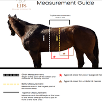 Adult Equine Hernia and Post-Surgical Pressure Belt, Hvy Canvas *vgc/gc, hairy, clean, rubs, hairy velcro