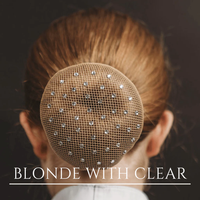 Elasticized Hair Bun Net, Bling, Scrunchie, Bag *new

