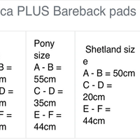 "Iberica Plus" Sheepskin Bareback Pad, raised ends, Carry/Storage Bag *like new, v.mnr dust, older?
