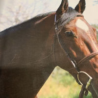 Horse Canvas Picture *vgc, scratches
