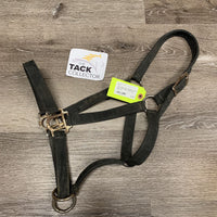 Stiff Nylon Halter, Slip Nose *older, faded, dirty, rusty, TORN edge
