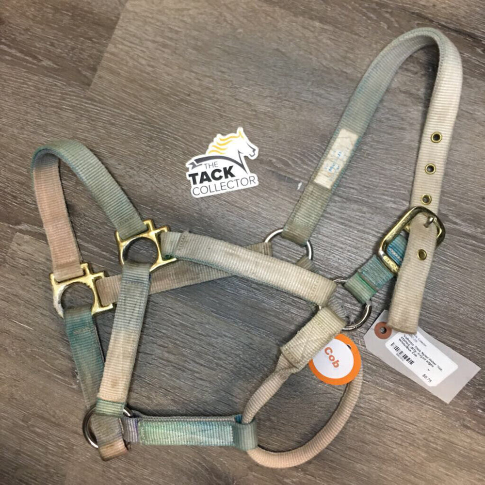 Thick Nylon Halter *fair, stained, dirty, frayed edges