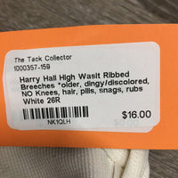 High Wasit Ribbed Breeches *older, dingy/discolored, NO Knees, hair, pills, snags, rubs
