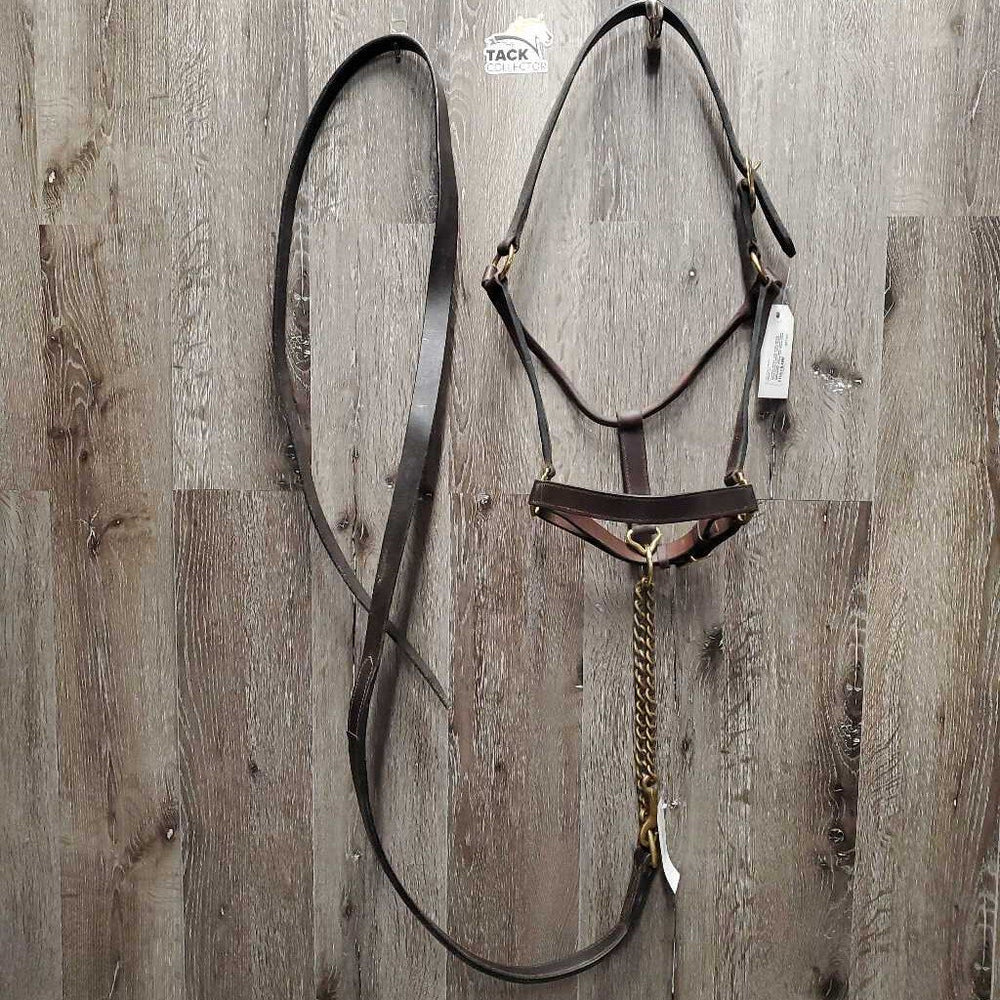 Leather Halter, adj, snap, Brass Nose Chain Leather Lead Shank *vgc, clean, stiff, name plate holes, discolored, stains, mnr mismatched