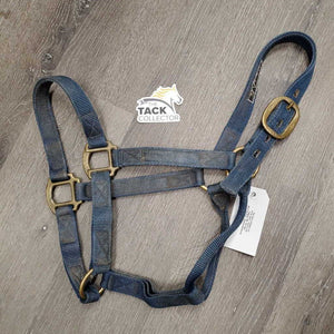 Thick Hvy Nylon Halter *dirty, faded, stains, older, scraped/frayed edges