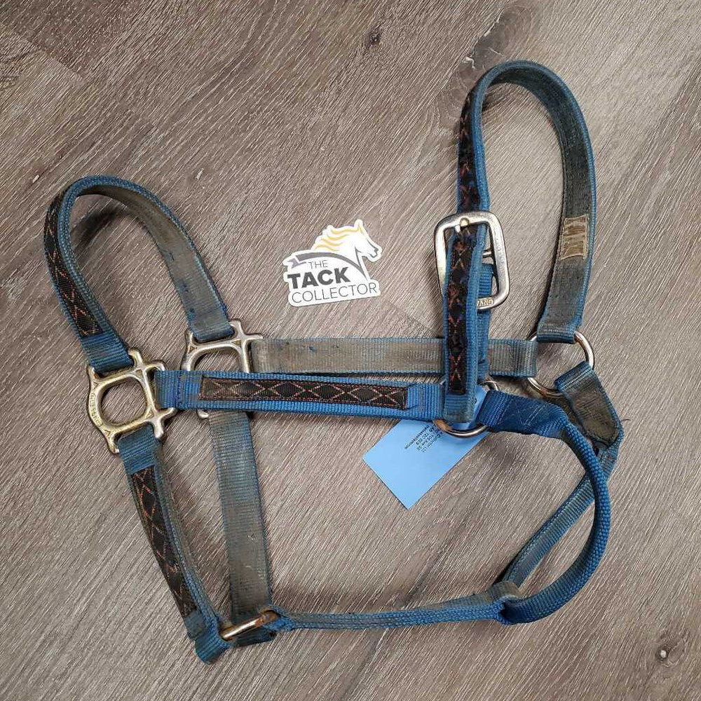 Stiff/Thick Nylon Halter *fair, older, frayed & torn holes, v.dirty, stains