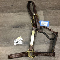 Double Stitched Thoroughbred Leather Halter, Nameplate *xc, v.mnr dirt & scrapes