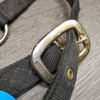 Stiff Thick Nylon Halter *fair, dirty, hairy, faded, scraped/frayed edges, older, peeled rings
