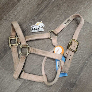 Thick Nylon Halter *fair, dirty, stains, rubbed/frayed edges, discolored