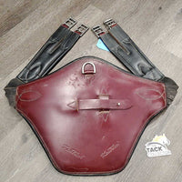 Lg Belly Girth, 2x side els, center strap & D Ring *gc, older, dirty, scratches, rubs1
