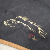 Wool Blanket, embroidered *vgc, hairy, clean, edge rubs/pills, older
