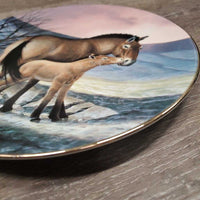 Collector's Plate: "Prezwalski's Horse by Will Nelson, 1991" Decorative Plate *xc, mnr rubs
