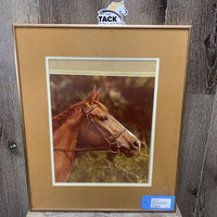 Chestnut Horse Photograph, Matted & Metal Frame *slipped photo, dirty, dusty
