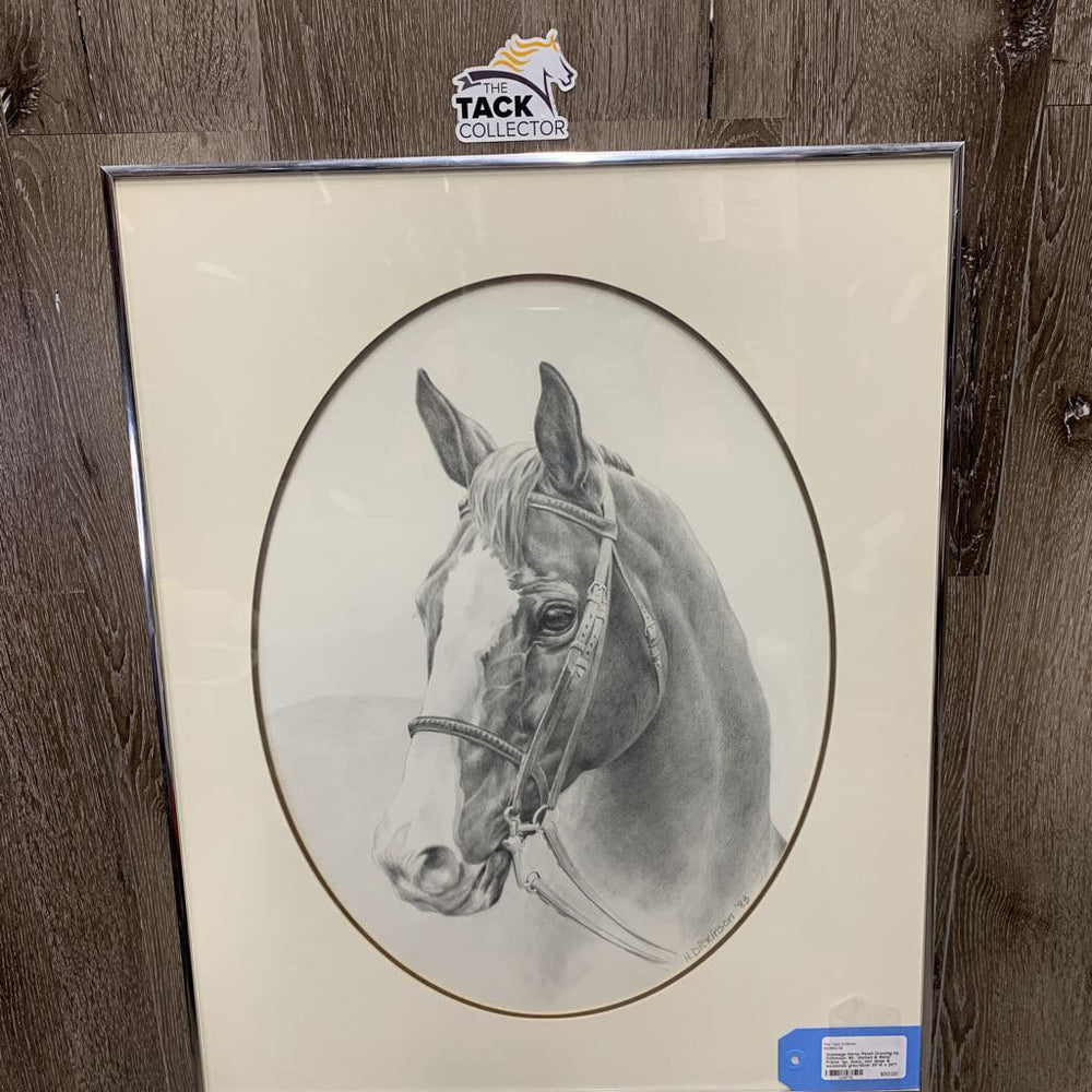 Dressage Horse Pencil Drawing by H.Dickson '83 , Matted & Metal Frame *gc, dusty, mnr dings & scratches