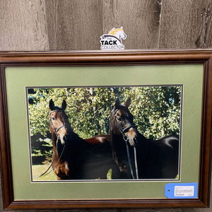 2 Bay Horses Photograph, Double Matted, Double Wood Framed *vgc, dusty, hole in back paper