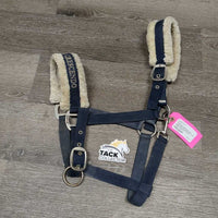 Nylon Halter, adj, snap, fleece lined *dirt, stains, faded, rubs, snags, frayed holes, smells
