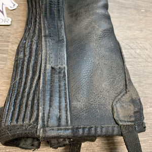 Pr Leather Half Chaps, bag *gc, clean & dirty, rubs, film, stiff